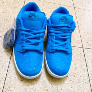 Nike SB "Blue Fury"